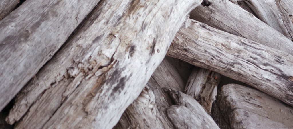 Anglican Capsule Collection